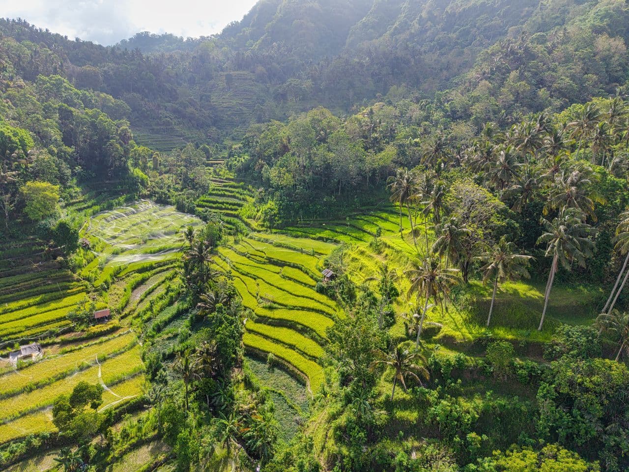 Kelionės į Indoneziją